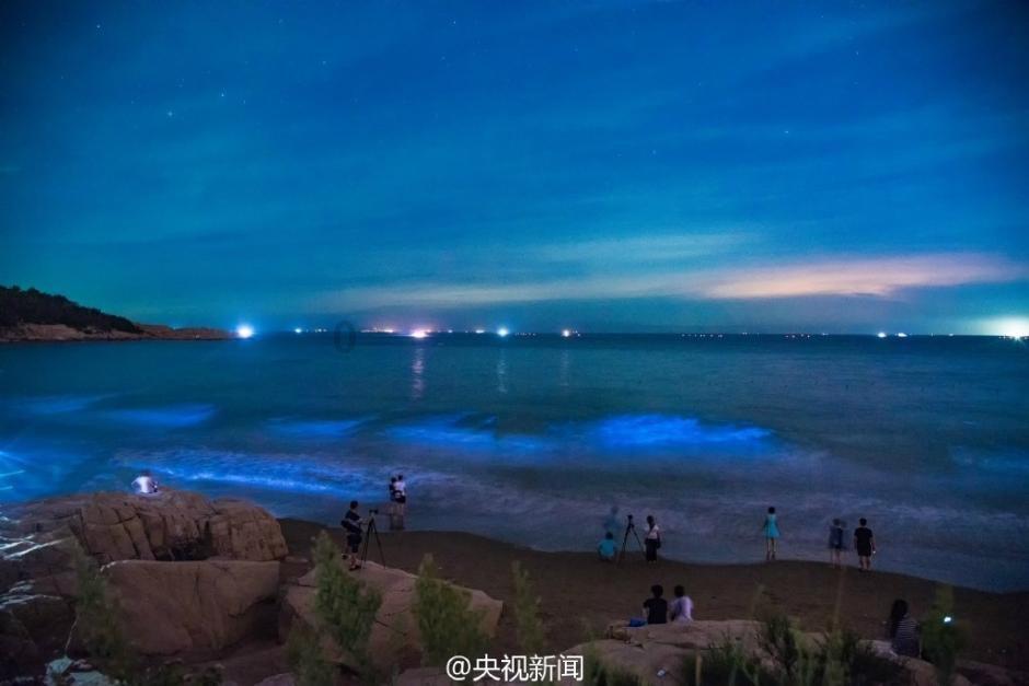 虫虫助手下载